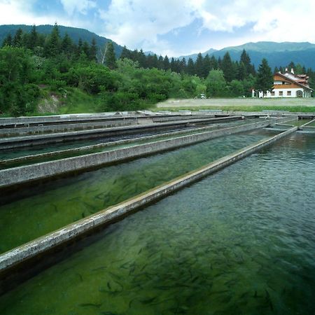 Affittacamere Alle Trote Sùtrio Buitenkant foto